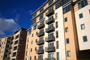 Auctus Legal Auction Pack Flats